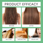 HOEGOA Rosemary Hair Growth Shampoo Set (3pcs)