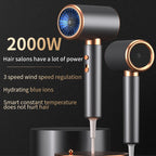 FARUZZI Professional Ionic Hair Dryer (2000W)